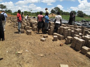 After being pressed, the bricks are cured in the sun. Once ready, they are carried to the nearby construction site.